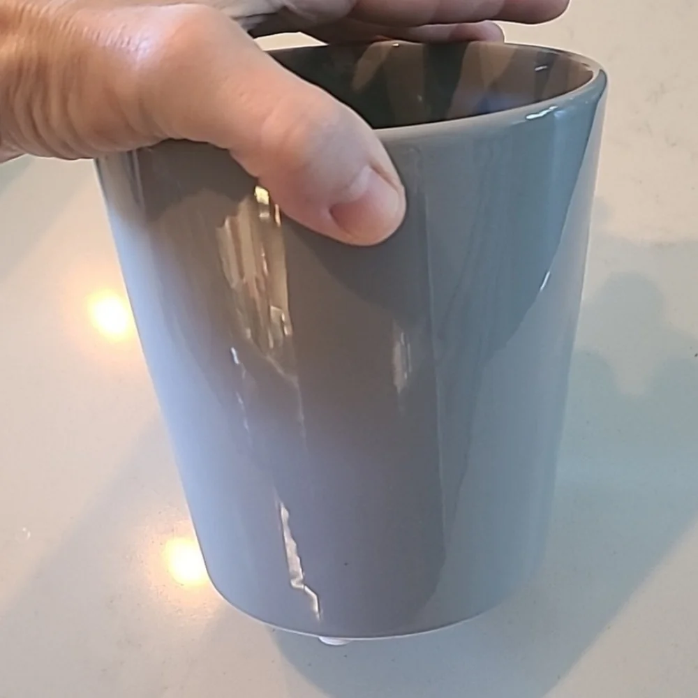 Like New Pottery Barn Modern/ Elegant Gray Ceramic Planter/ Pot